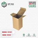 CAJA TERMO MICRO 11*11*21