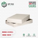 CAJA BLANCA 42*28*6.5