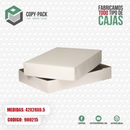 CAJA BLANCA 42*28*6.5