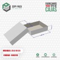 CAJA CAPLE  DE (25 X 19 X 6) CMS