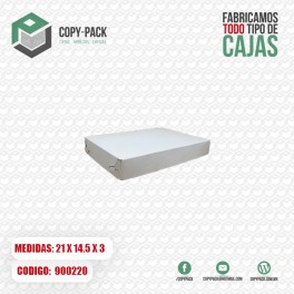 CAJA CAPLE DE (21 X 14.5 X 3) CM CHICA